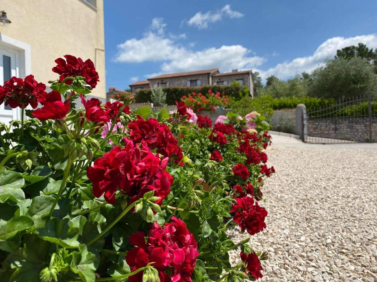 Apartman Luna Sveti Lovreč Pazenatički Kültér fotó
